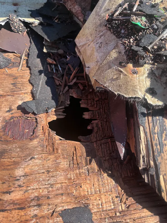 Rotted roof decking exposed during a roof replacement in Northeast Pennsylvania